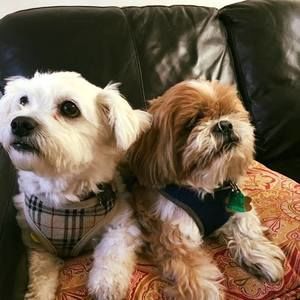 Meet your Posher, Michele